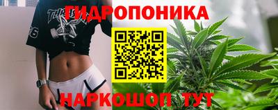 прущая мука Гатчина